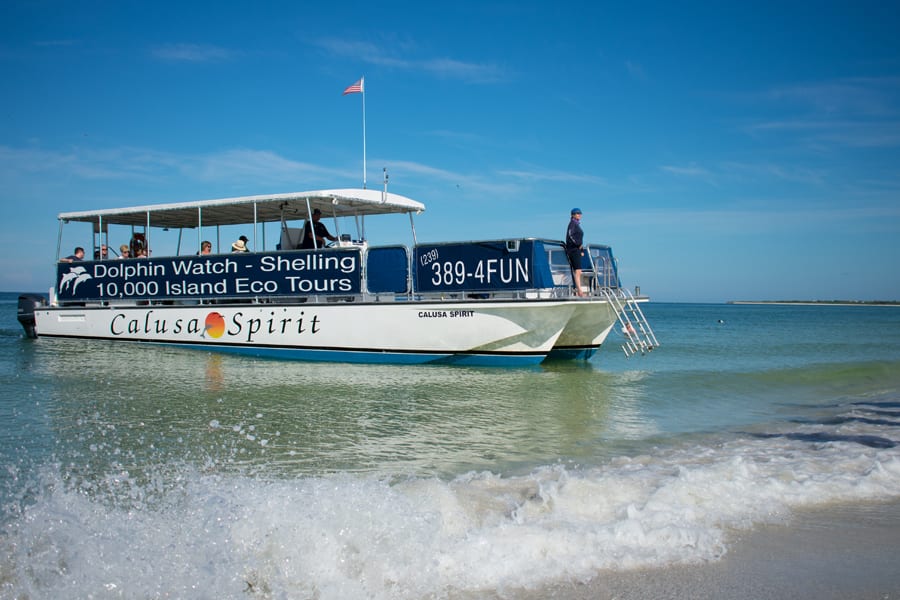 Shelling Excursions and Dolphin & Manatee Eco-Tours